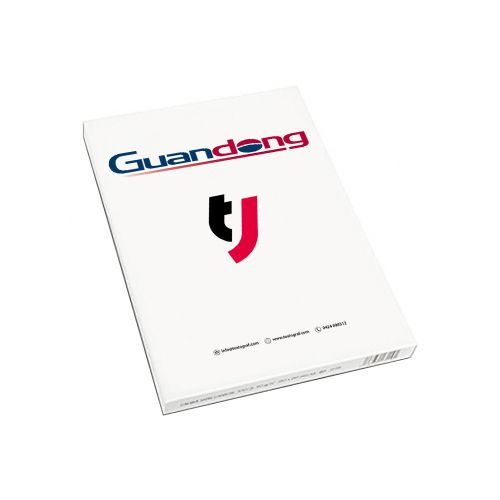DUAL fogli I Conf. 100 PZ
