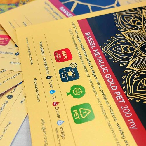 Guandong Mr MAGNUS - Bassel