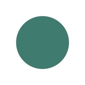 Fotocopiabili economiche I Conf. 100 PZ