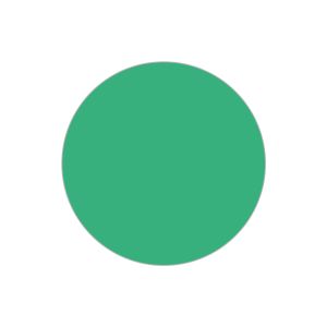 Cartelline con clip I Conf. 25 PZ