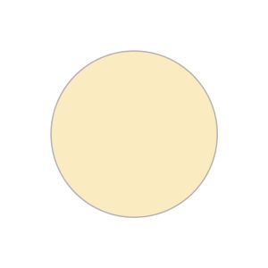 Fotocopiabili economiche I Conf. 100 PZ