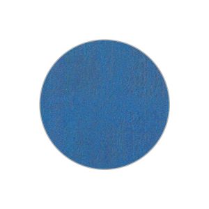 Foglio copertine tesi