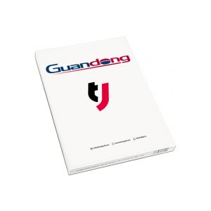 DUAL fogli I Conf. 100 PZ