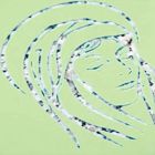 Ri-Mask - Mascheratura