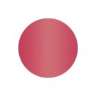 P.S. Electric - E0050