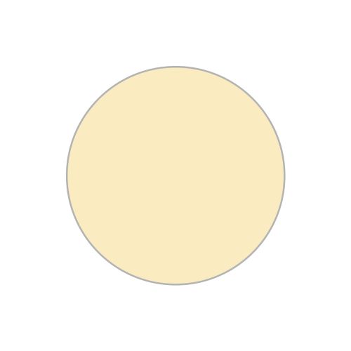 Fotocopiabili economiche I Conf. 100 PZ