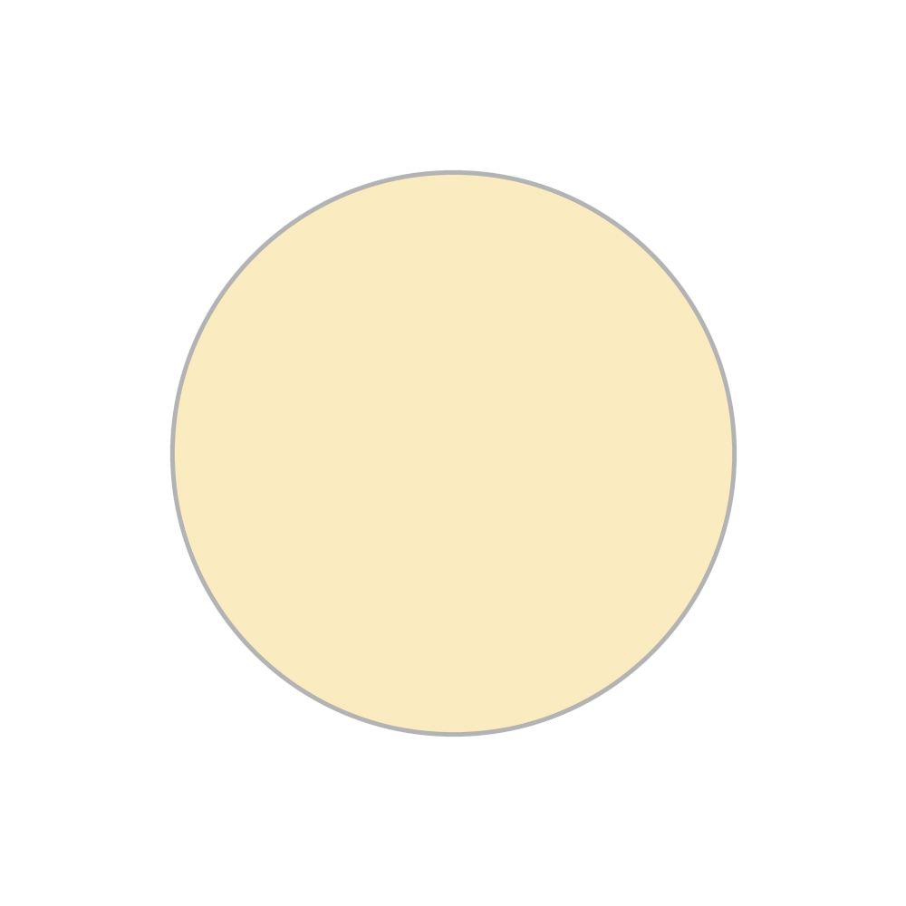 Fotocopiabili economiche I Conf. 100 PZ