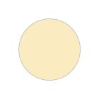 Fotocopiabili economiche I Conf. 100 PZ