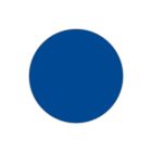 Dorsi plastici I Conf. 50 PZ