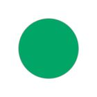 Fotocopiabili economiche I Conf. 100 PZ